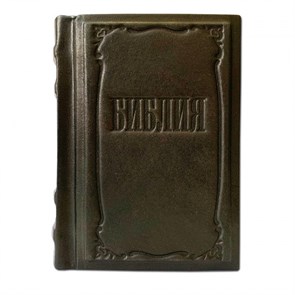 {{productViewItem.photos[photoViewList.activeNavIndex].Alt || productViewItem.photos[photoViewList.activeNavIndex].Description || 'Библия малая (13*10*3)'}}
