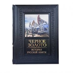 {{productViewItem.photos[photoViewList.activeNavIndex].Alt || productViewItem.photos[photoViewList.activeNavIndex].Description || 'Книга &quot;Черное золото. История русской нефти&quot;'}}