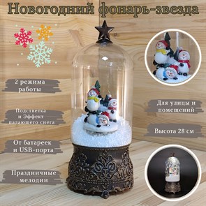 {{productViewItem.photos[photoViewList.activeNavIndex].Alt || productViewItem.photos[photoViewList.activeNavIndex].Description || 'Новогодний декоративный фонарь-звезда с музыкой, подсветкой | Светильник с эффектом падающего снега &quot;Снеговики&quot;, 28 см'}}