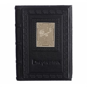 {{photo.Alt || photo.Description || 'Ежедневник А5 «Время-деньги-3» с накладкой покрытой никелем'}}