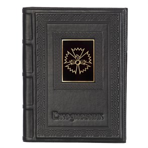 {{photo.Alt || photo.Description || 'Ежедневник А5 «ГРУ-3» с накладкой из стали'}}