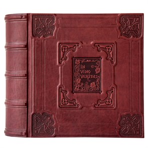 {{photo.Alt || photo.Description || 'Книга-бар «Истина в вине»'}}