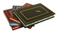 Ежедневник Медицина из кожи BG2348E - фото 334898