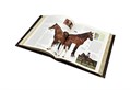Лошади. Новая энциклопедия (в коробе). Подарочное издание в коже BG7311F