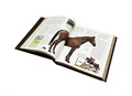 Лошади. Новая энциклопедия (в коробе). Подарочное издание в коже BG7311F