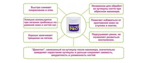 Купить Демиктен PRO в интернет-магазин shikkra.ru